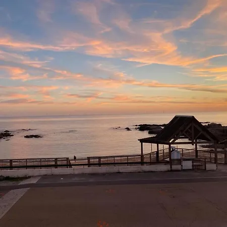 Vue 20m De La Le Croisic